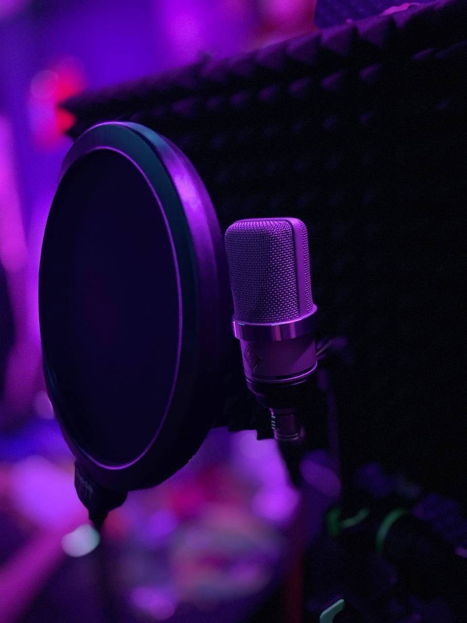 Микрофон и поп‑фильтр в вокальной будке