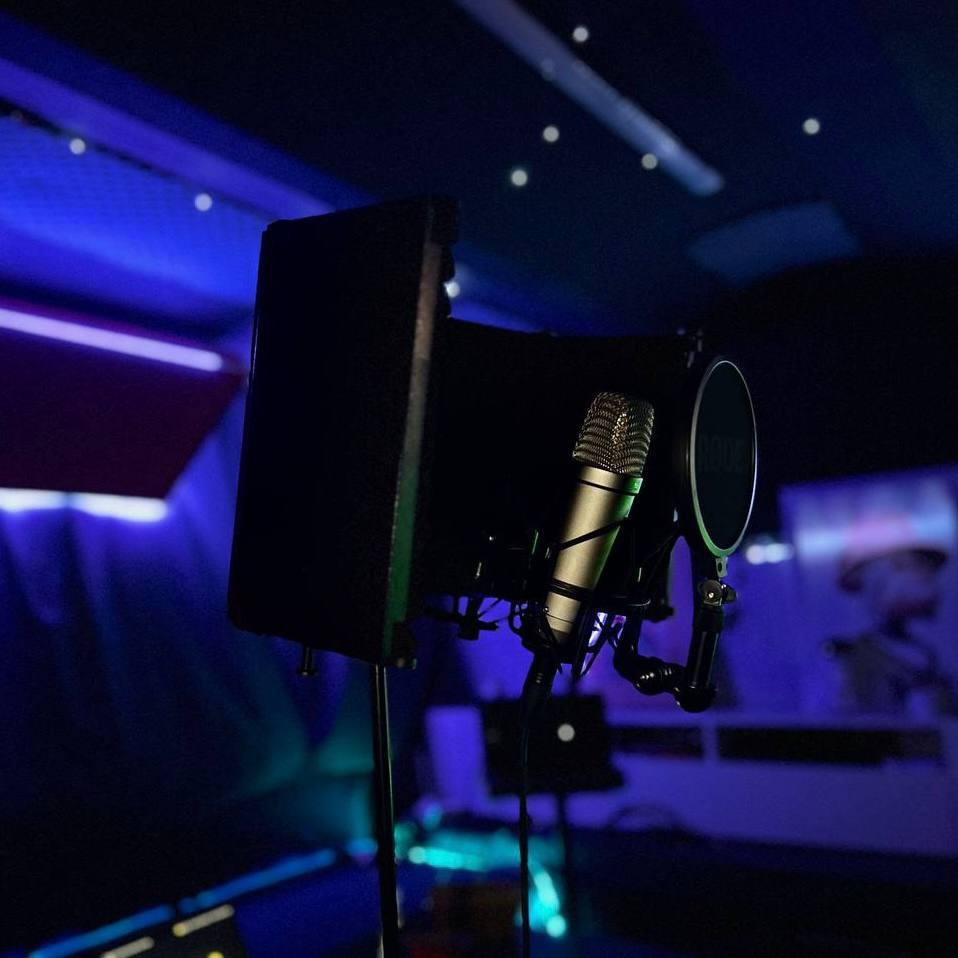 Микрофон и вокальная зона крупным планом